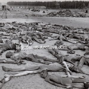 Bergen-Belsen - Photo of hundreds of bodies