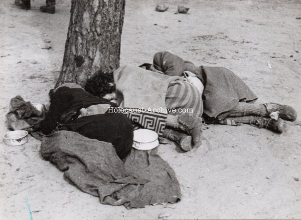 Bergen-Belsen - Photo of sleeping female prisoners