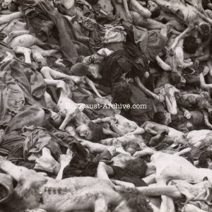 Bergen-Belsen - Photo of a mass grave