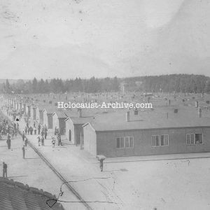Dachau - American photograph during the liberation of the camp in 1945